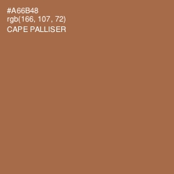 #A66B48 - Cape Palliser Color Image